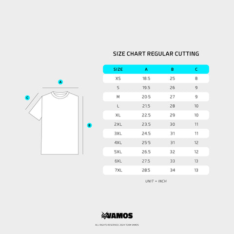 Authentic 3rd Pro Kit Season 14